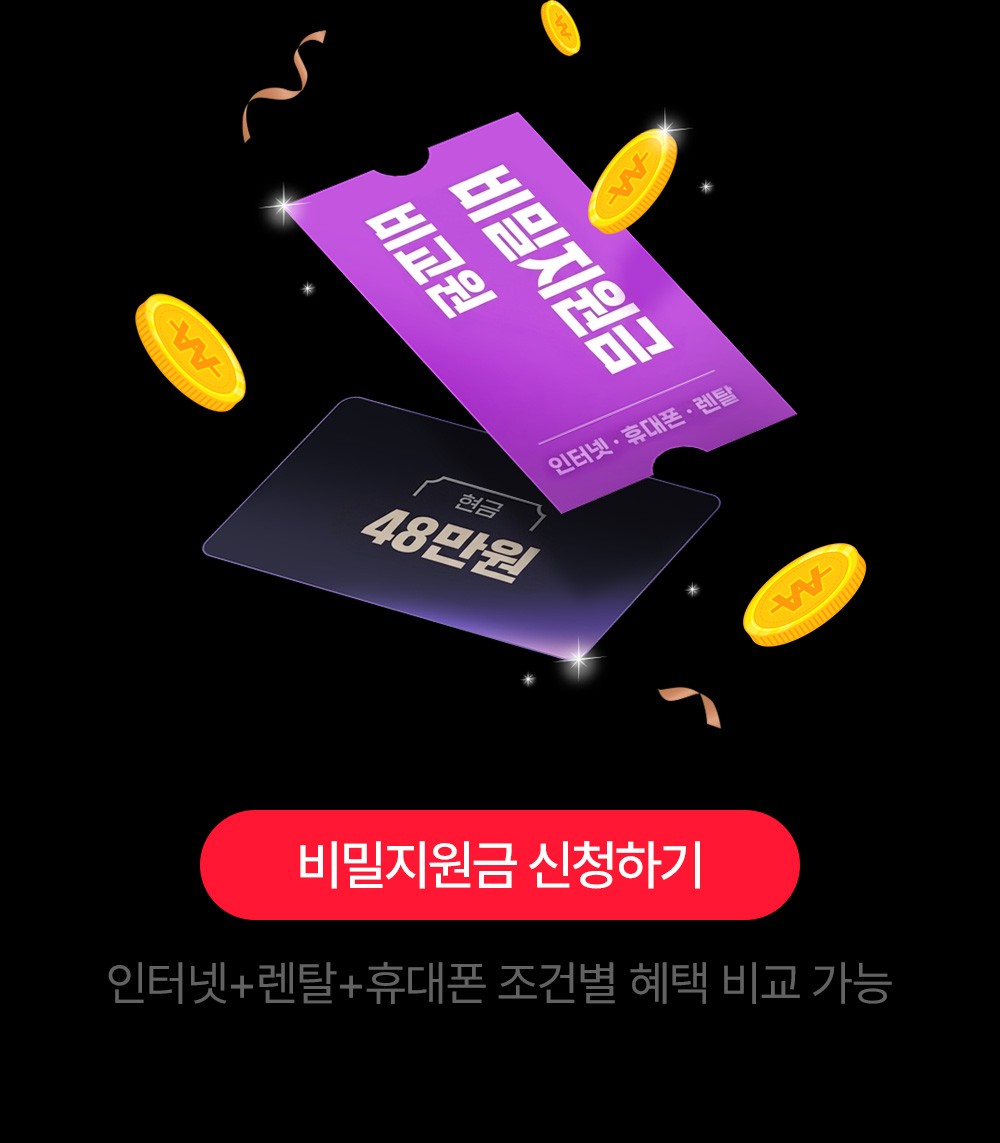 이번달 비밀지원금