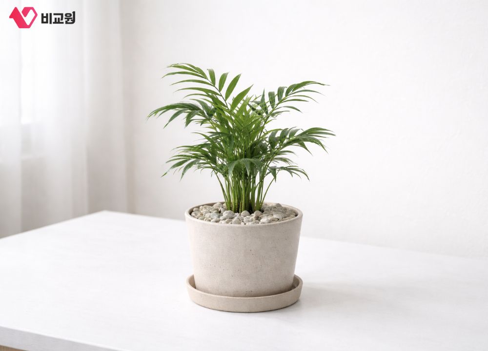 �ǳ� ���̺����� ������ȭ �Ĺ�